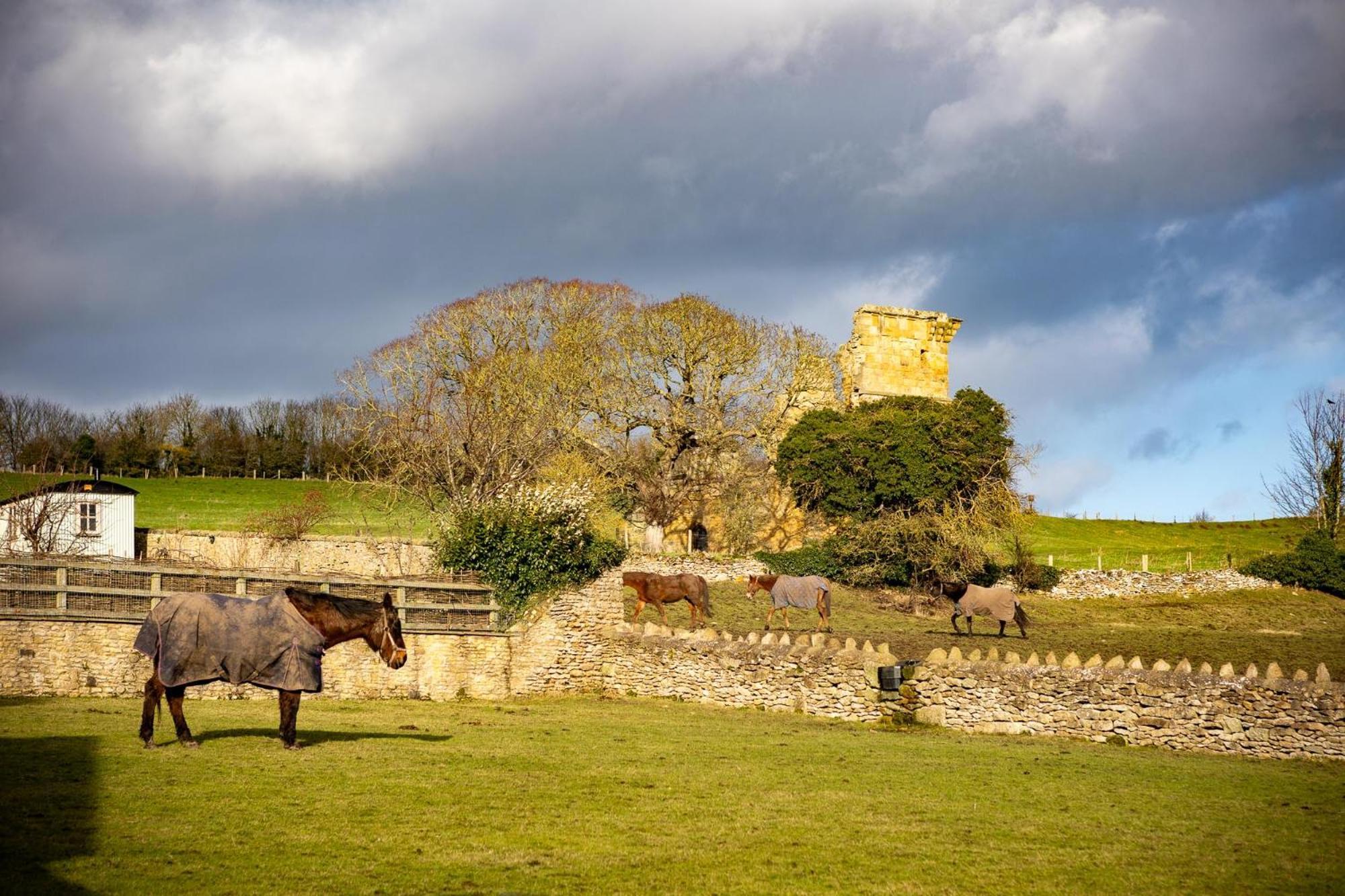 Yew Tree Cottage East Ayton Exteriör bild